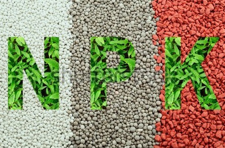 Khác biệt giữa NPK 3 màu và NPK 1 hạt