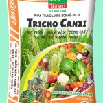 Tricho canxi